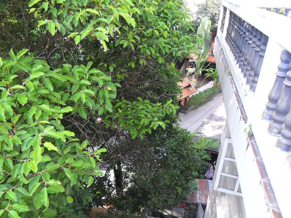 Chiangmai Inn Guesthouse Chiang Mai Ngoại thất bức ảnh